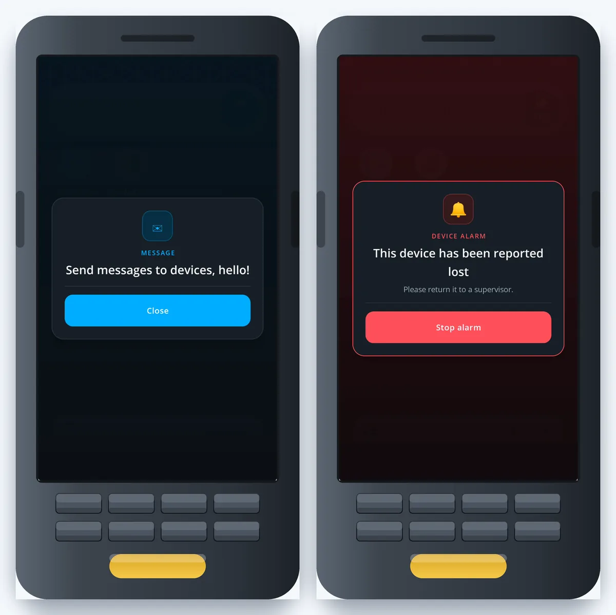 CT Identity on a handheld: a message pushed to the device, and a lost-device alarm